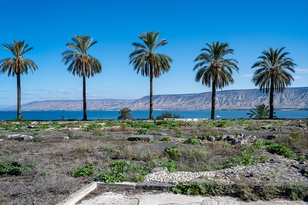 ג'ייקוב אוהלו
